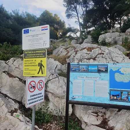 Ms Апартаменты Трибунь