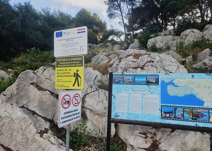 Ms Апартаменты Трибунь