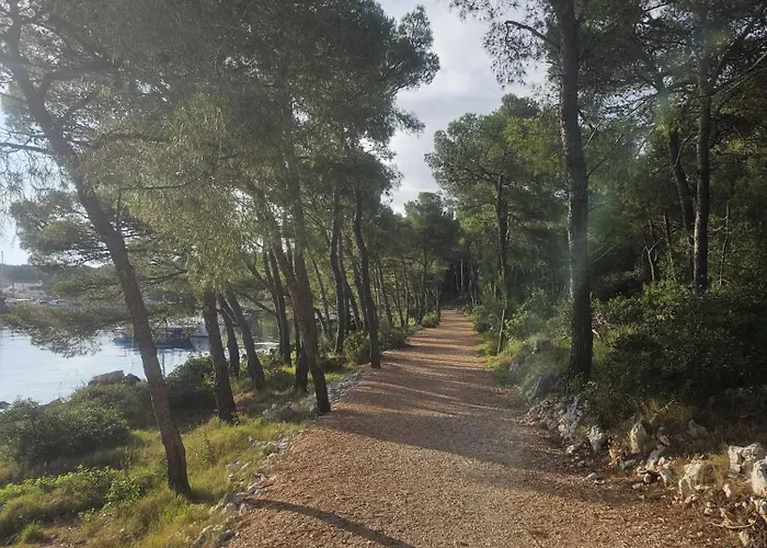 Апартаменты Ms Трибунь